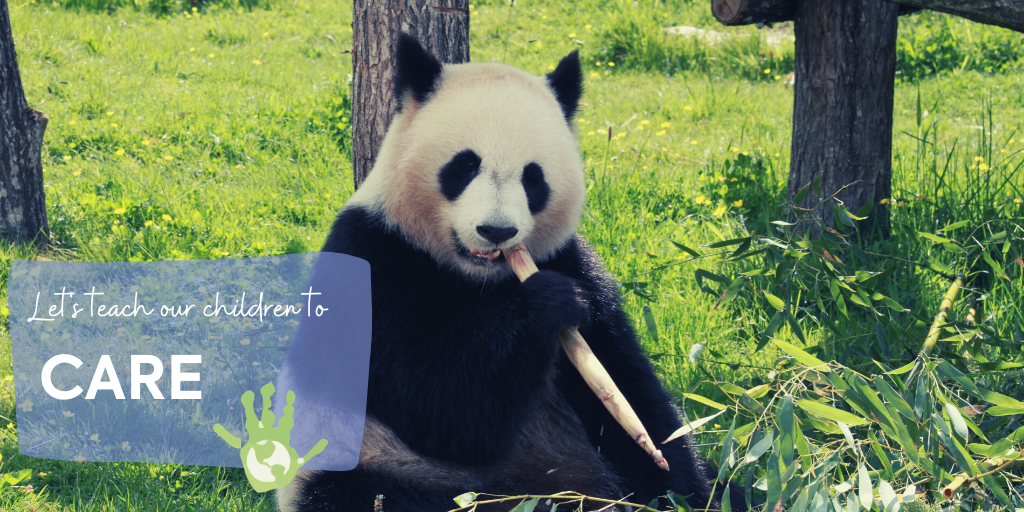 Big black panda resting on a tree